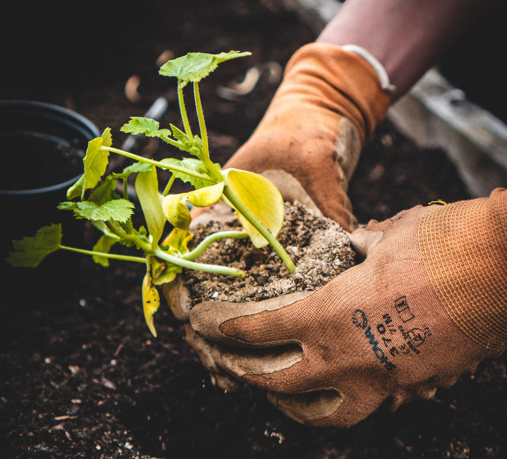 Trabajos en Jardinería